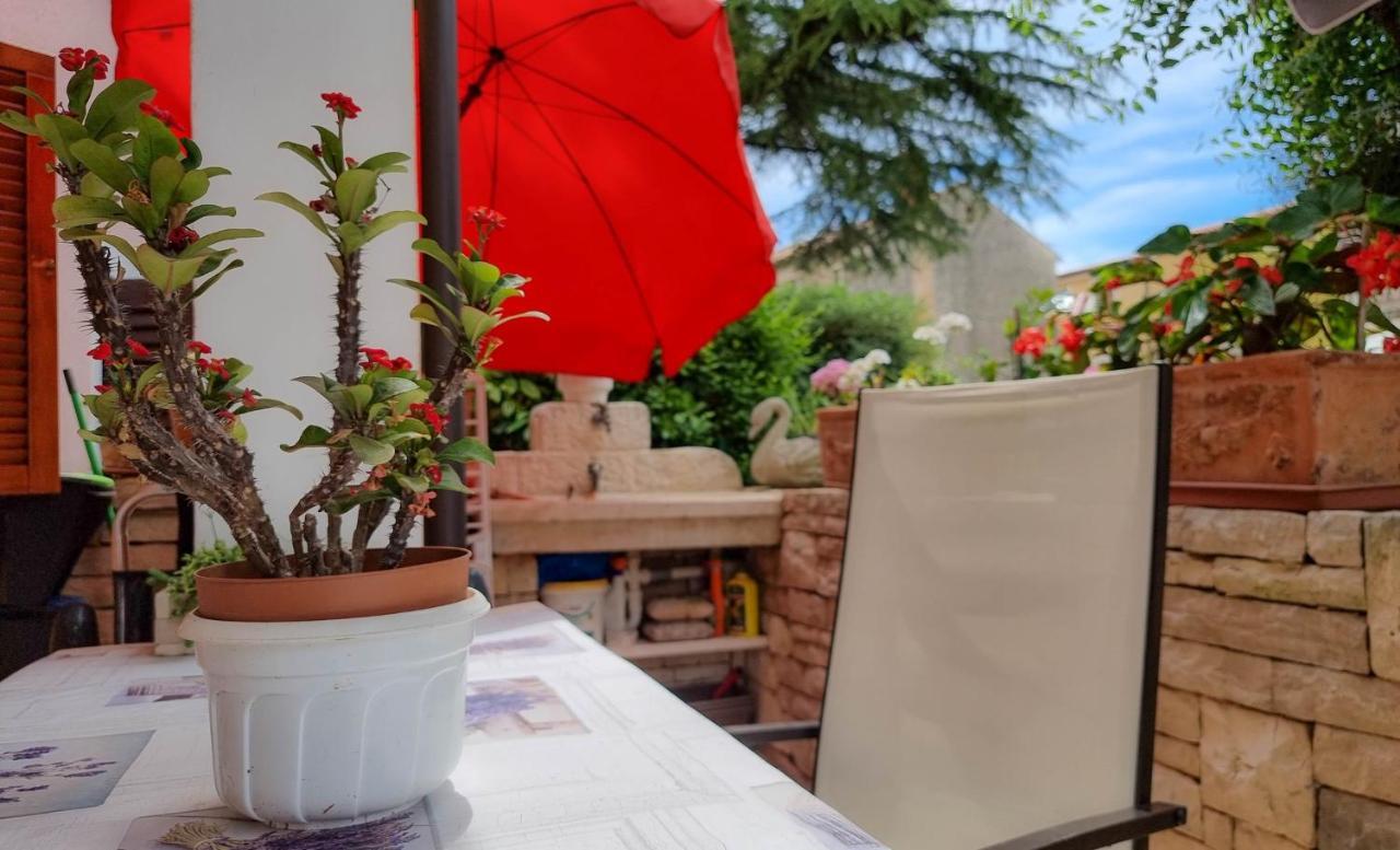 Apartamento Valentino Novigrad Istria Exterior foto